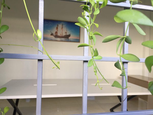 Co-working Seat, Co-working space Da Nang - Hình ảnh 3
